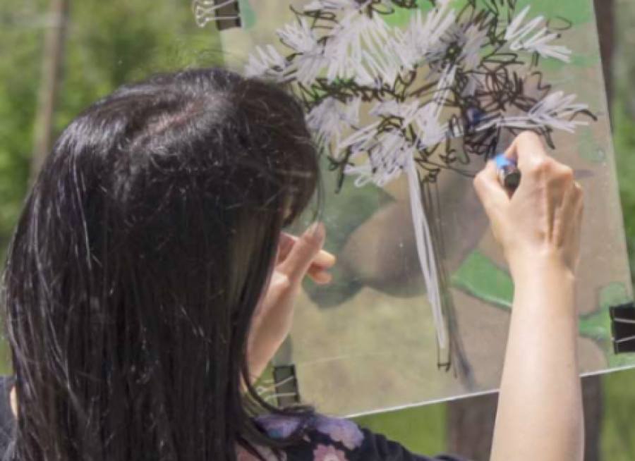 "Η φωλιά του πάρκου"! Καλλιτεχνικό εργαστήρι!