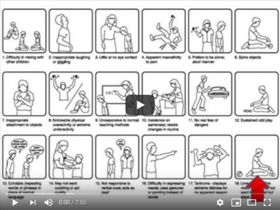 Αυτισμός σε 8 λεπτά!