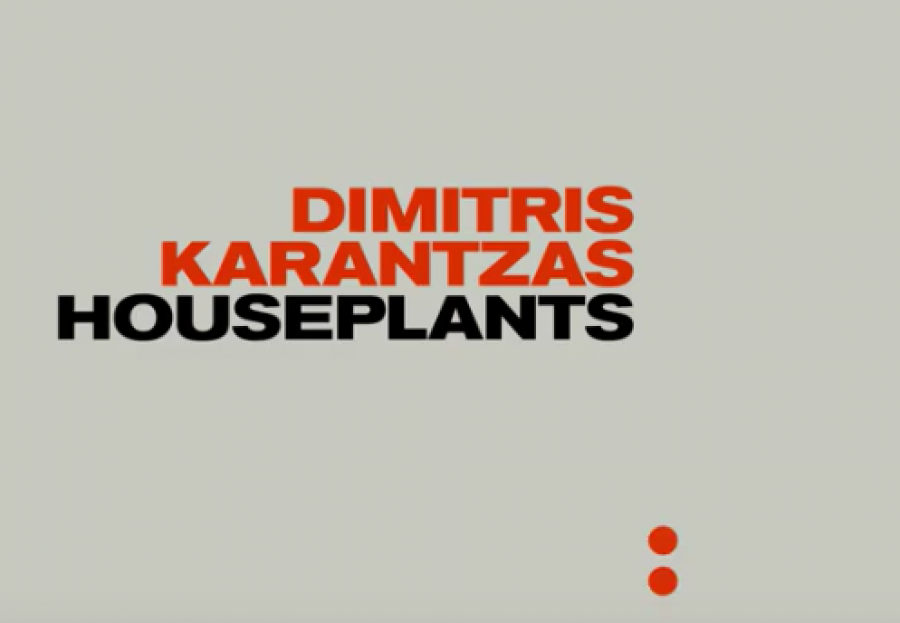 Φυτά εσωτερικού χώρου!