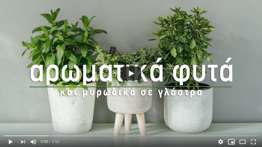 Tα μυστικά του κήπου!