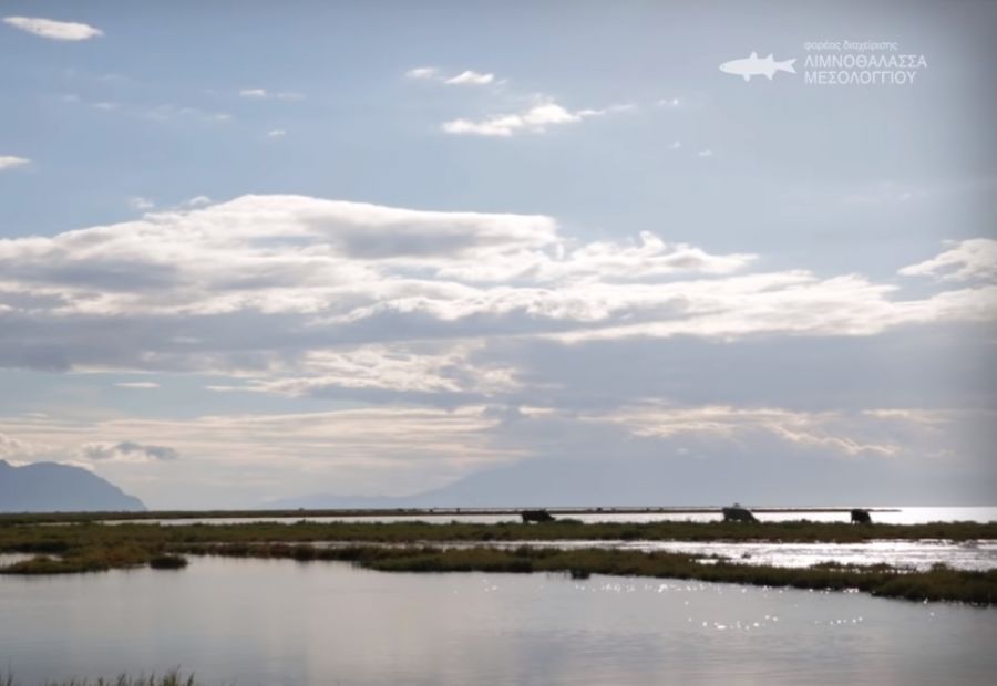 Εθνικό Πάρκο Λιμνοθαλασσών Μεσολογγίου - Αιτωλικού