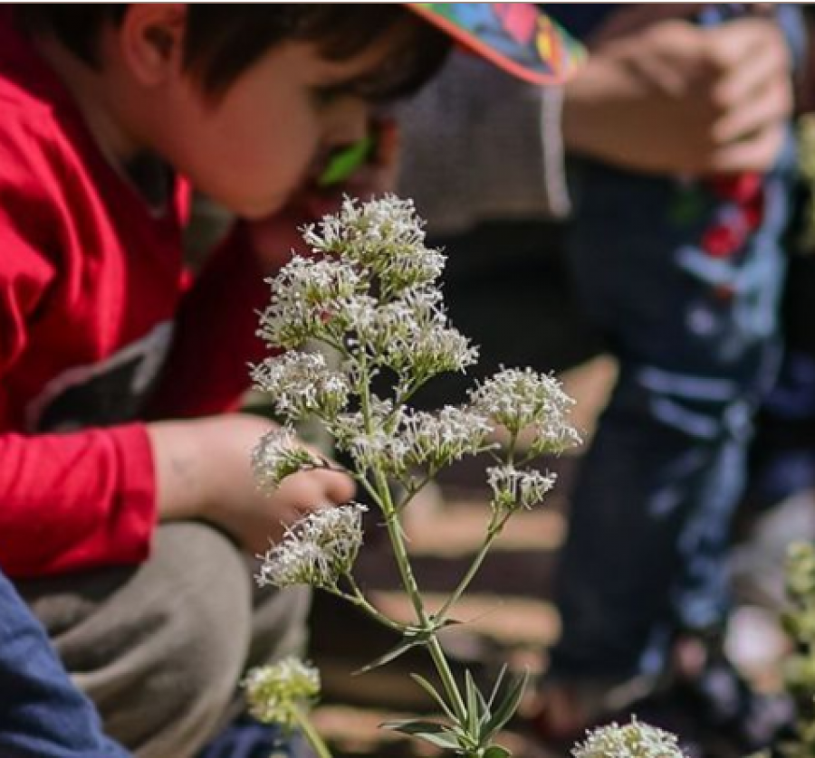 "Πράσινες" δραστηριότητες από το σπίτι σας!